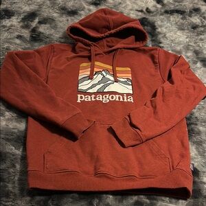 Patagonia Rust Hoodie